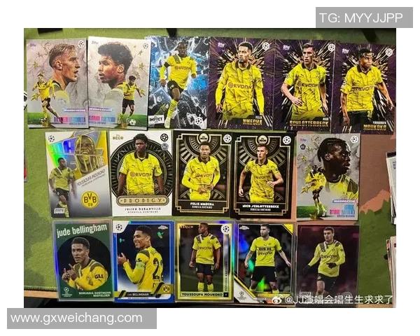 两百元价位足球球星卡收藏价值分析与投资潜力探讨 两百元价位足球球星卡收藏价值分析与投资潜力探讨