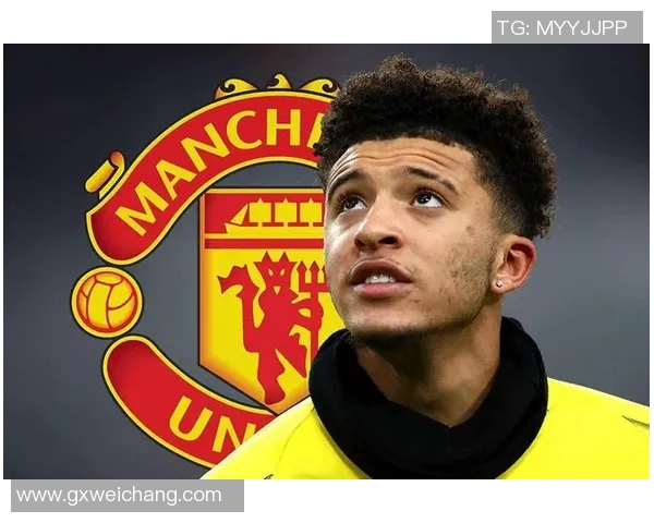 《非你莫属足球明星阵容揭晓 揭秘那些亮眼的足坛新星》