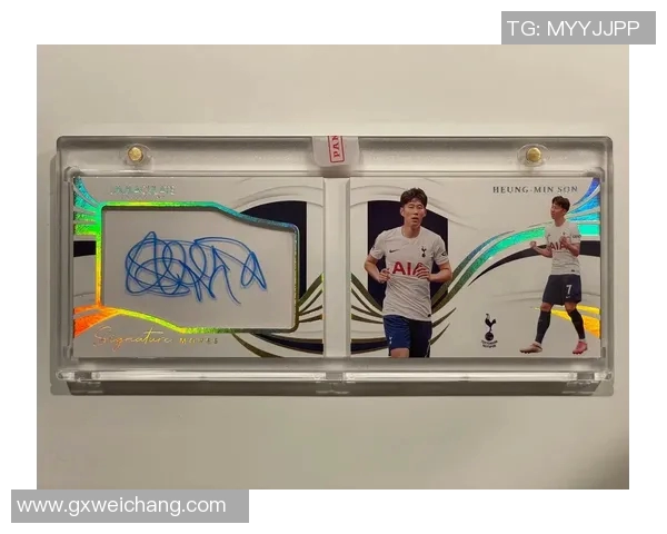 球星卡足球投资指南:如何通过收藏与交易获取长期收益 球星卡足球投资指南:如何通过收藏与交易获取长期收益